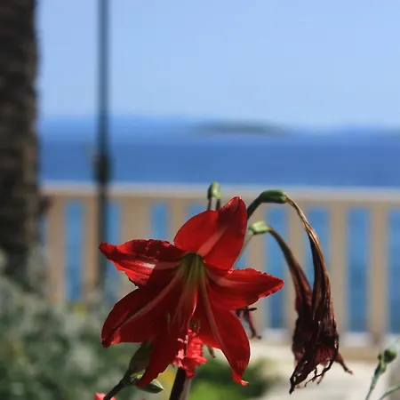 Apartments By The Sea Orebic, Peljesac - 2130 Orebić