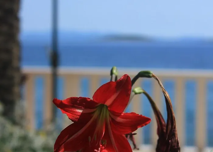 By The Sea Orebic, Peljesac - 2130 Оребич